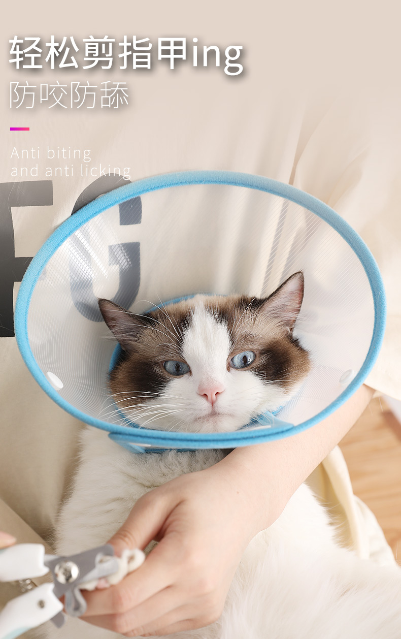 Elizabeth vòng cổ chó cung cấp cổ áo cổ chó mèo cổ áo mèo Elisabeth chống cắn sọ - Cat / Dog hàng ngày Neccessities 	mua bát ăn cho chó	