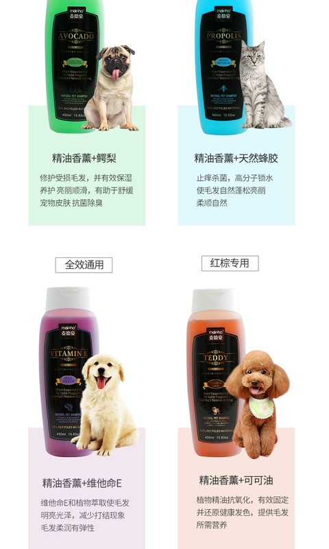 Dog tắm gel đặc biệt Teddy dầu gội chó mèo dầu gội khử trùng khử mùi vật nuôi cung cấp tắm tắm - Cat / Dog Beauty & Cleaning Supplies