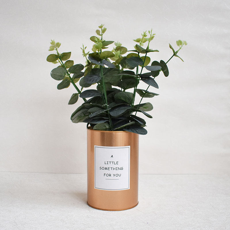 Eucalyptus leaf bouquet set Living room Nordic style round leaf fake green plant potted decoration ins simulation flower decoration