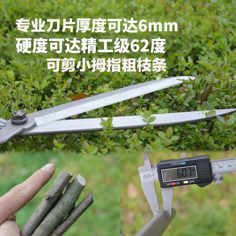 修枝剪刀绿篱剪刀园艺工具修剪篱笆灌木大花剪果树枝园林剪绿化剪