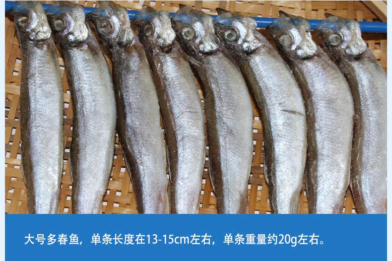 Duochun Fish_06.jpg
