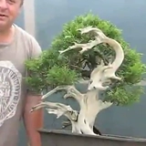 Bonsai шелковые резьбы по карнизированным распылителям, бонсай, размахивая головой и размалывает старый производственный инструмент ветропроницаемым пистолетом, чтобы починить огонь