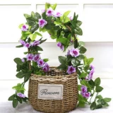 Моделирование трубопровода ротана, винограда, виноградная виноградная кондиционирование