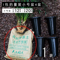 Версия в твердом переплете пищевой почвы 1 сумка