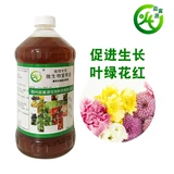 Микробное раствор питательный раствор без почвенных гидравлических овощей белые равиоли