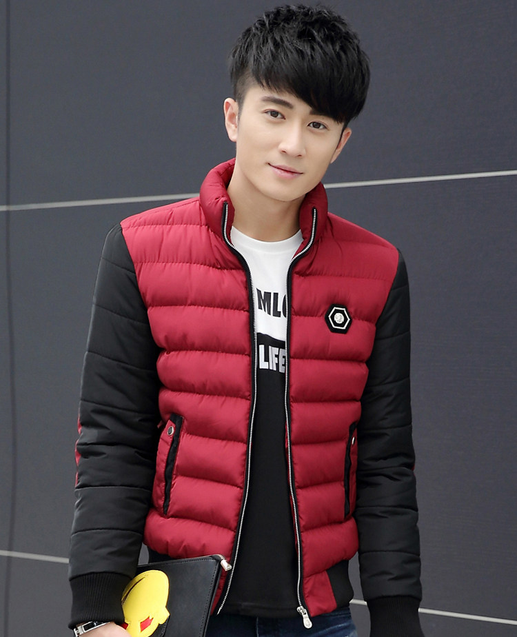 Blouson chaud pour homme COABETER  GEBOT - Ref 3112394 Image 6