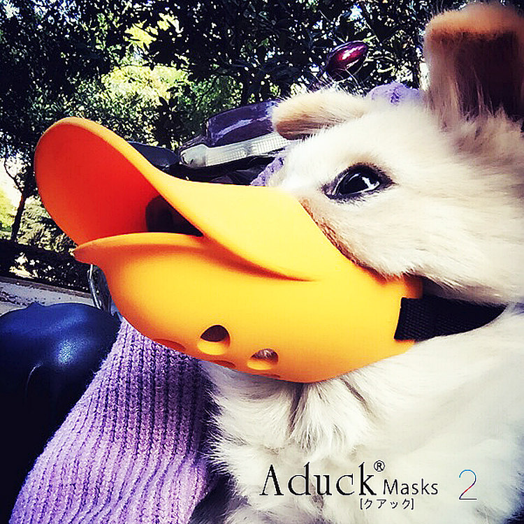 Japanese Pooch Duckbill Cover Bite called mask teddy gold wool small midsize dog anti-mess to pick up a dog bite