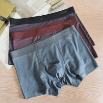 6047 Bay Mens boxer pants silkworm pupae protein Modal comfortable and breathable triangle pants sports seamless boxer pants