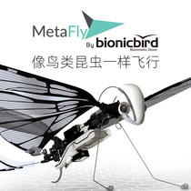 French Bionic Bird originally fitted with intelligent Winged Bionic Bird Insect Insect flying Toys