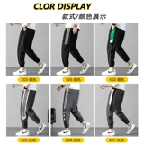 Штаны, трендовые повседневные брюки, осенние