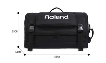 Roland ex speaker package Portable thicket shoulder package cube street Ex speaker price