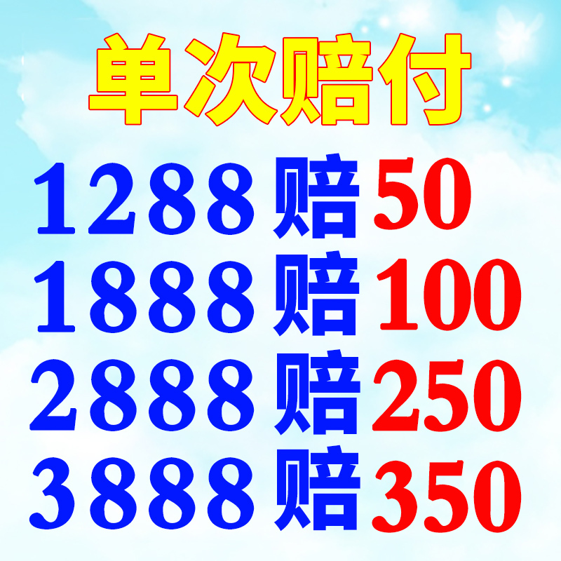 Auction Wizard: Shanghai License Plate Bidding Service, High Success Rate in Winning Bids