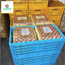 Golden Phoenix egg carton egg frame egg basket European style folding box turnover basket frame can be matched with 30 pieces 36 pieces and 42 egg trays