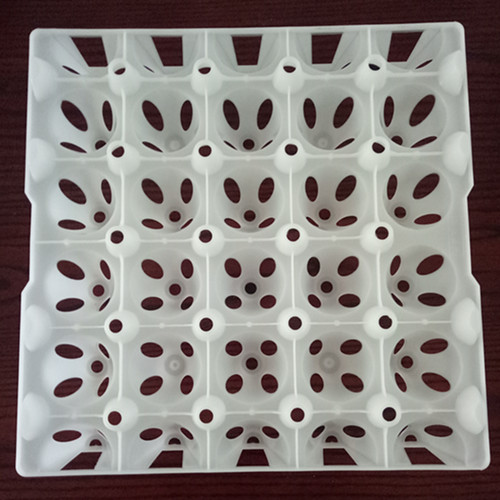 Golden Phoenix Goose Egg 20 Big Goose Egg Duck Egg plastic packaging goose egg boxed egg 200 gr