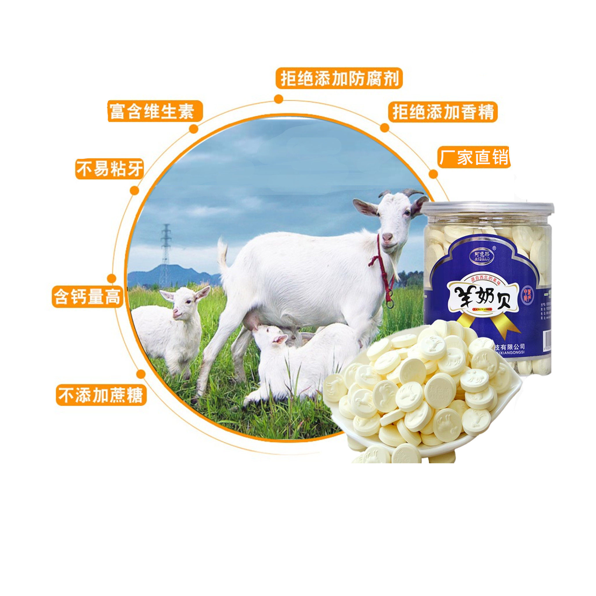 Ace Lamb Goat Milk Scallop 500g Canned Original Flavor Children Dry Eat Ningxia Inner Mongolia Goat Milk Tablets Without Added Sucrose