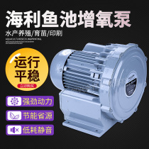 Whirlpool Type Fish Pool Oxygenator Oxygenation Pumps Large Fish Tank Fish Pond Oxygen Pumps Seafood Pool Crock Tank Oxygenation Oxygenation Pumps
