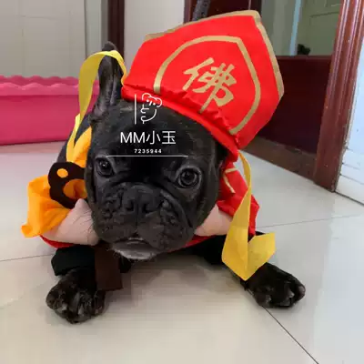 (MM Xiaoyu) South Korea must postage Super link