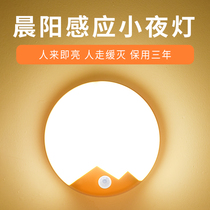 Intelligent human body led induction night light unplugged Stairs aisle Bathroom wardrobe Wiring-free voice control Light control