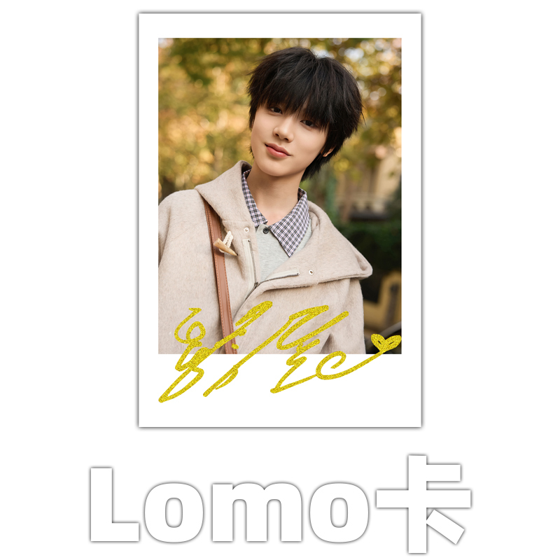Wei Zichen Lomo Card Fan Merchandise Small Card with Printed Signature Celebrity Merchandise Collectible Photo Idol Paper Card