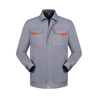 Серебряный серый (одиночный верх)