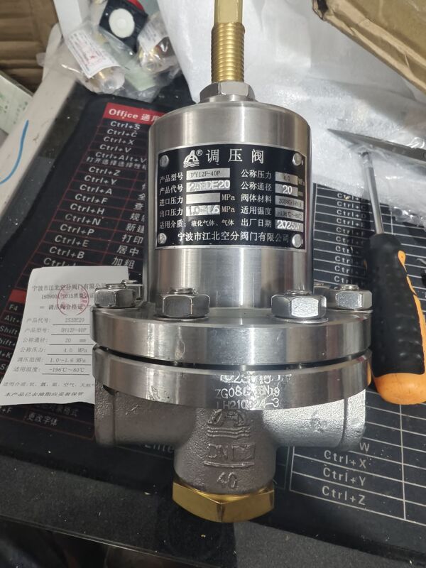 Ningbo Jiangbei Air Distribution Valve Dy12F-40P/25P/16P Stainless Steel Low Temperature Pressure Reducing Pressure Regulating Valve Safety Valve