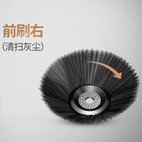 Передняя кисть справа