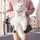 Ragdoll cat backpack simulated contrasting color kitten doll plush toy as a Valentine's Day birthday gift for girls