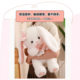 Cute Rabbit Doll Plush Toy, Little White Rabbit Doll, Cuddle Toy for Sleeping, Birthday Gift for Girls, Stuffed Doll