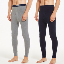 男士秋裤2条装保暖裤线裤棉