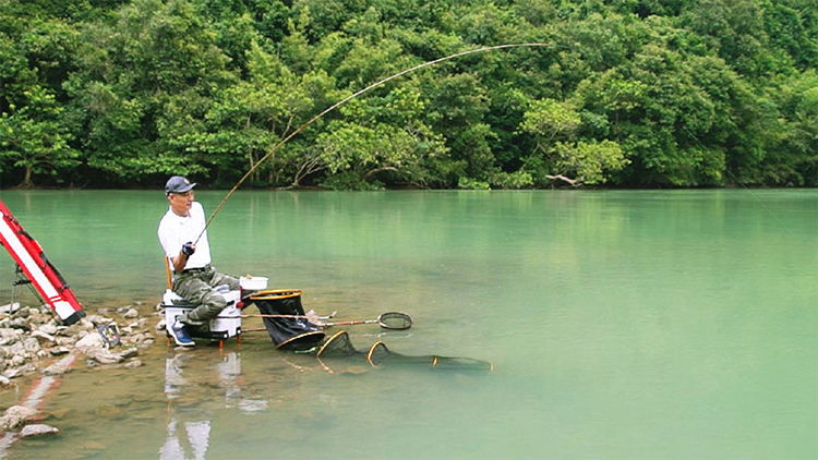 大板鲫很难钓？用这4个字选钓位1