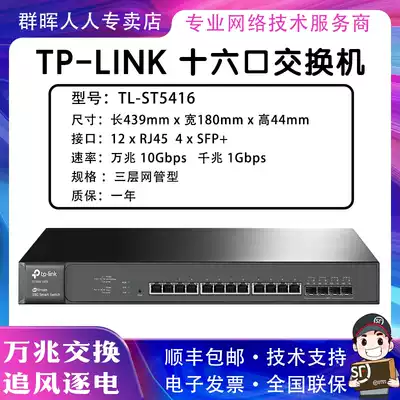 Family Video Studio) professional grade 10 gigabit switch TL-ST5416