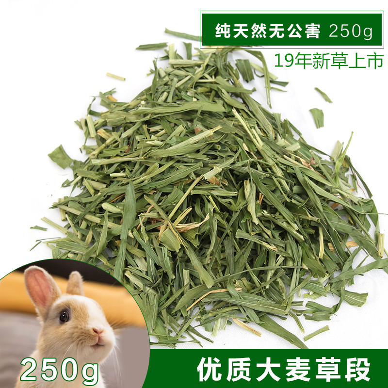 Barley grass section forage Rabbit staple Chinchilla Guinea pig Guinea pig Dutch pig hay feed 250g3 catty