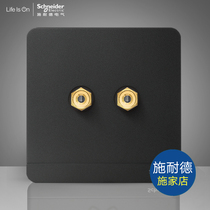Schneider switch socket panel Yishang dark gray household type 86 single-link double-column 2-bit audio speaker