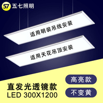 300x1200led panel light Integrated ceiling aluminum gusset gypsum mineral wool board 30x120 panel light Embedded
