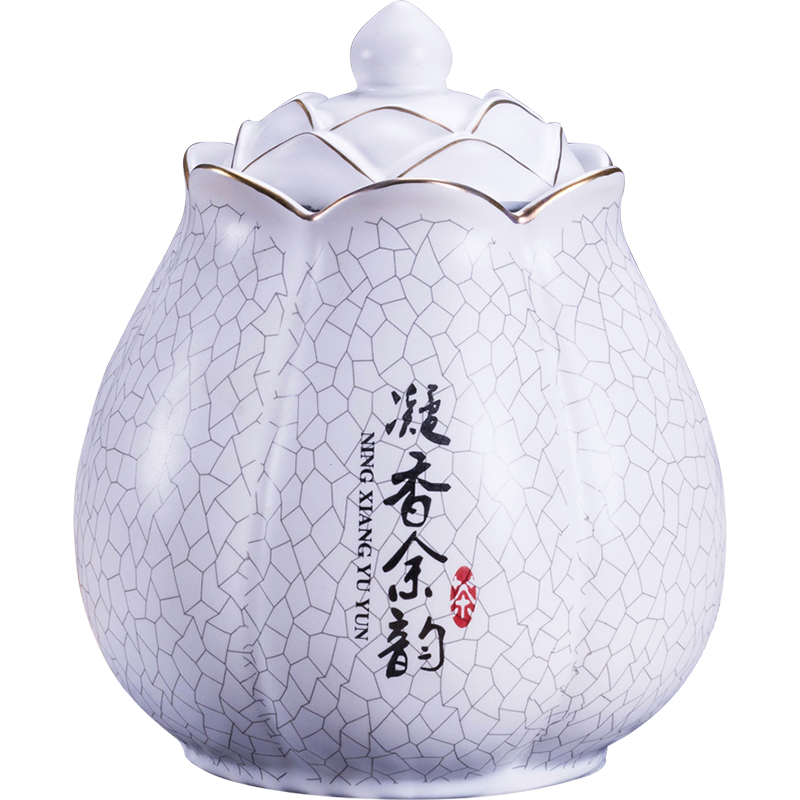 Jingdezhen ceramic tea pot seal "biluochun" household mini caddy fixings half jins of retro portable by hand