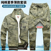 910 Тонкий срез [Желтый цветок] Комплект обновления