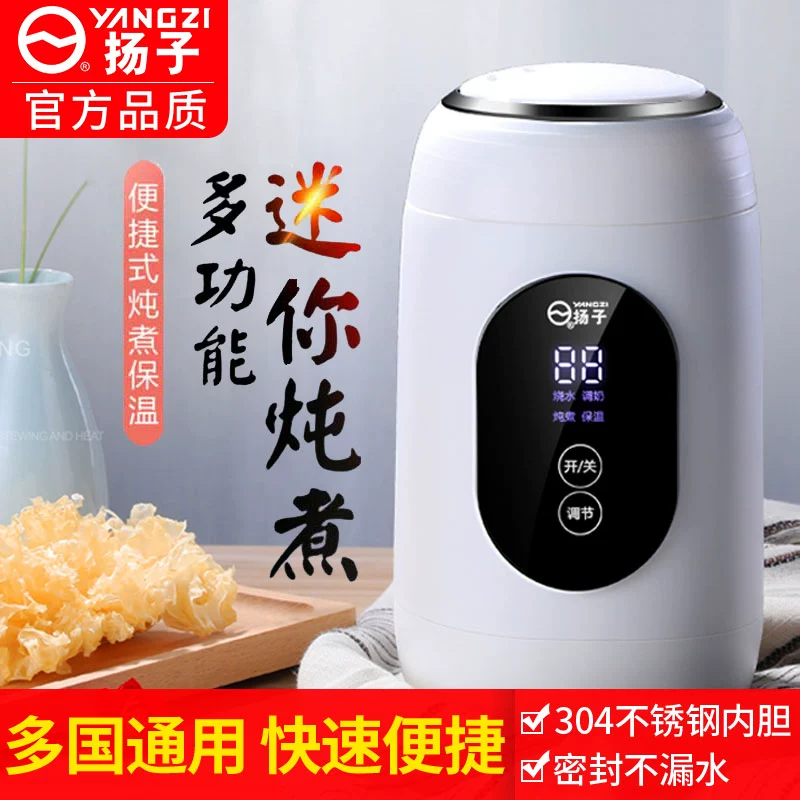 Ấm đun nước điện Yangtze ấm đun nước mini du lịch nhỏ 1 người cốc nước cầm tay inox ở nước ngoài - ấm đun nước điện