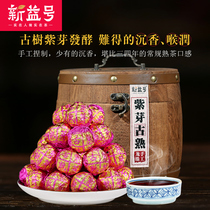Xinyi Purple Bud Ancient Tea Dragon Ball Cooked 500g Aarcumin Hou Yun Sweet Puer Tea Cooked Tea Mini Xiaotuo Tea