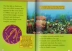 English truyện tranh gốc National Geographic Kids Level3: Nước National Geographic lớp tiểu học đọc sách ảnh cho trẻ em Tiếng Anh Giác Ngộ Đồ chơi giáo dục