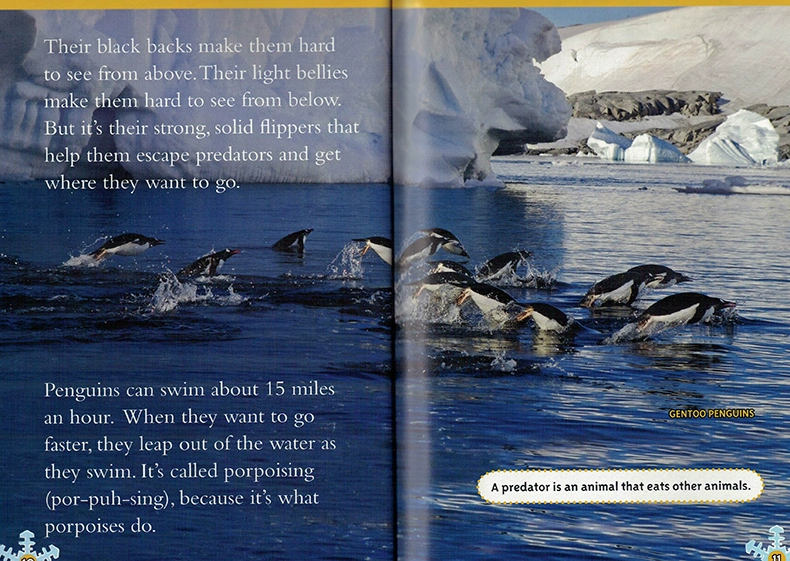 English truyện tranh gốc National Geographic Kids level2: Penguins National Geographic Reading cho bách khoa toàn thư khoa học cho trẻ em English sách thiếu nhi