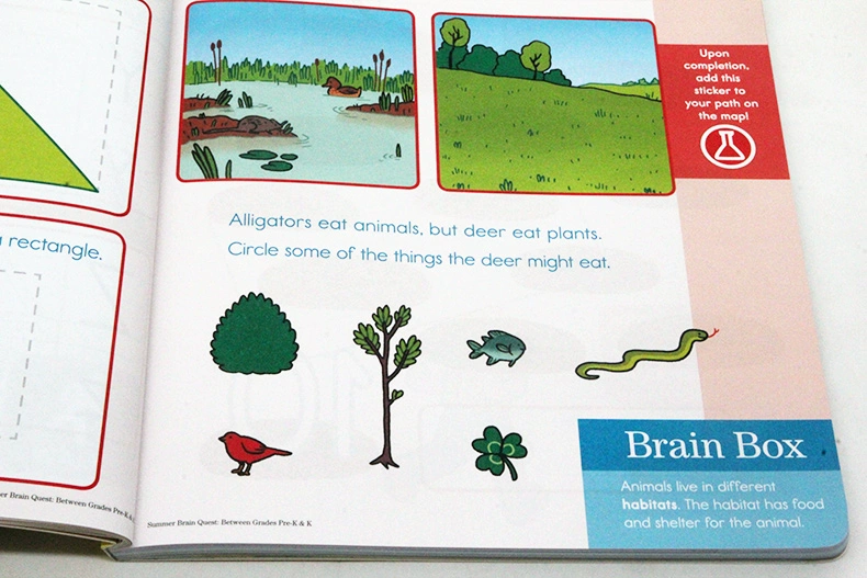 Summer Brain Quest Pre-k & k não Workbook thực hành nhiệm vụ học hè trước khi Hoa Kỳ gốc tiếng Anh hàng loạt trường mầm non từng đoạt giải thưởng