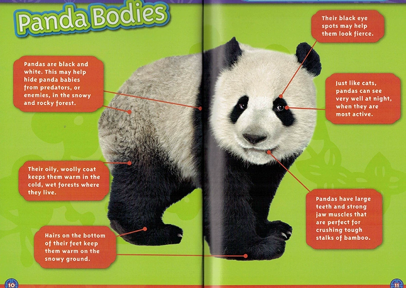 English truyện tranh gốc National Geographic Kids level2: Pandas National Geographic Reading cho bách khoa toàn thư khoa học cho trẻ em English sách thiếu nhi