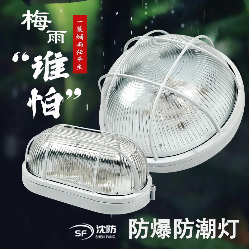 Shenyang-led anti-explosion lamp waterproof and moisture-proof, anti-dust three-proof light toilet balcony warehouse plant suction ceiling lamp wall lamp-Taobao