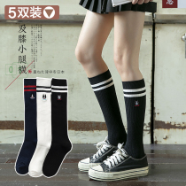 Calf socks womens knee-high black skinny leg socks Medium tube Japanese Korean college style stockings autumn and winter tide ins