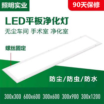 Customized Lighting led Clean Flat Light 300x1200 Hospital Surgical Light Laboratory Clean Workshop