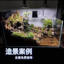 Anyuan semi-aquatic turtle imitation ecological environment scenery Anbu turtle gold turtle wood grain turtle aquatic turtle stream flowing water landscape