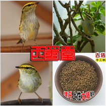 West Shu Tang Handmade Wale Bird Food Feed Boost Upper Sex Great Singing Yellow Waist Wale Warbler Feed Wren Warbler Bird Feed