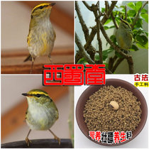 West Shu Tang Handmade Wale Bird Food Feed Nutritional and Fat Willow Feed wrens Orioles Singing Birds and Bird Food Feed