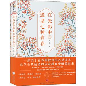 在光影中遇见七种青春 夏昆 著 中国现当代文学 文学 天地出版社 畅销书籍排行 新华正版