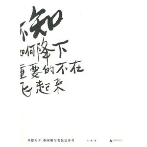 异想天开：蔡国强与农民达芬奇 王寅？著 著 美术理论 艺术 广西师范大学出版社 畅销书籍排行 新华正版